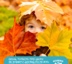 Autumn, skin care: How to change care after summer